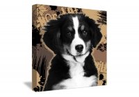 Portrait Pop 80x80cm Chocolat Portrait Pop 80x80cm Chocolat